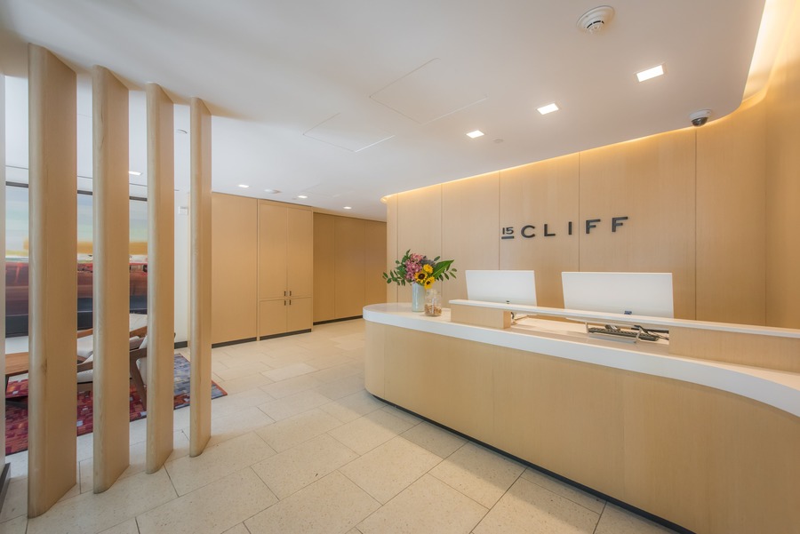 15 Cliff Apartments - NY, NY